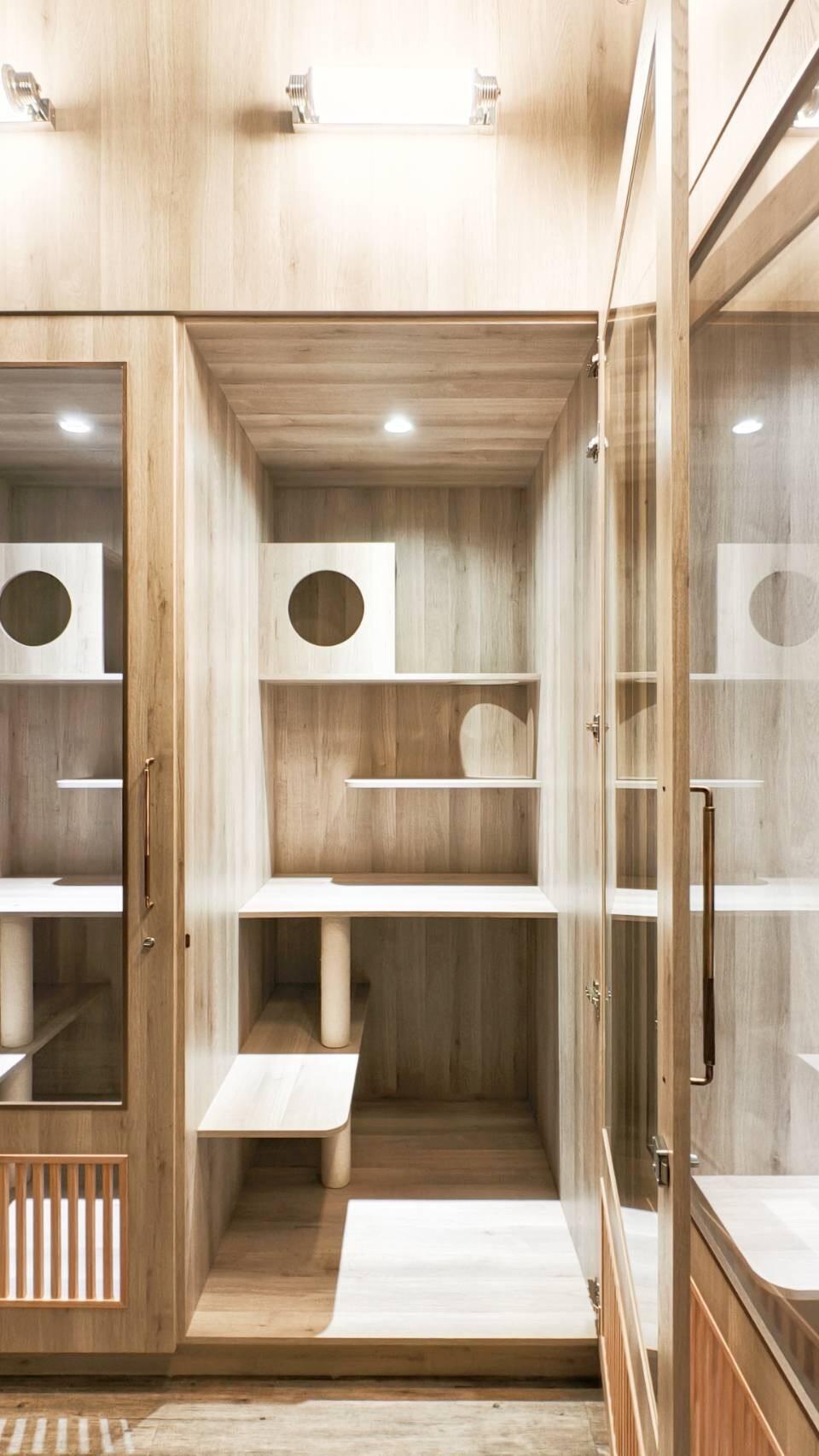 VVIP | 貓咪寵物旅館房型