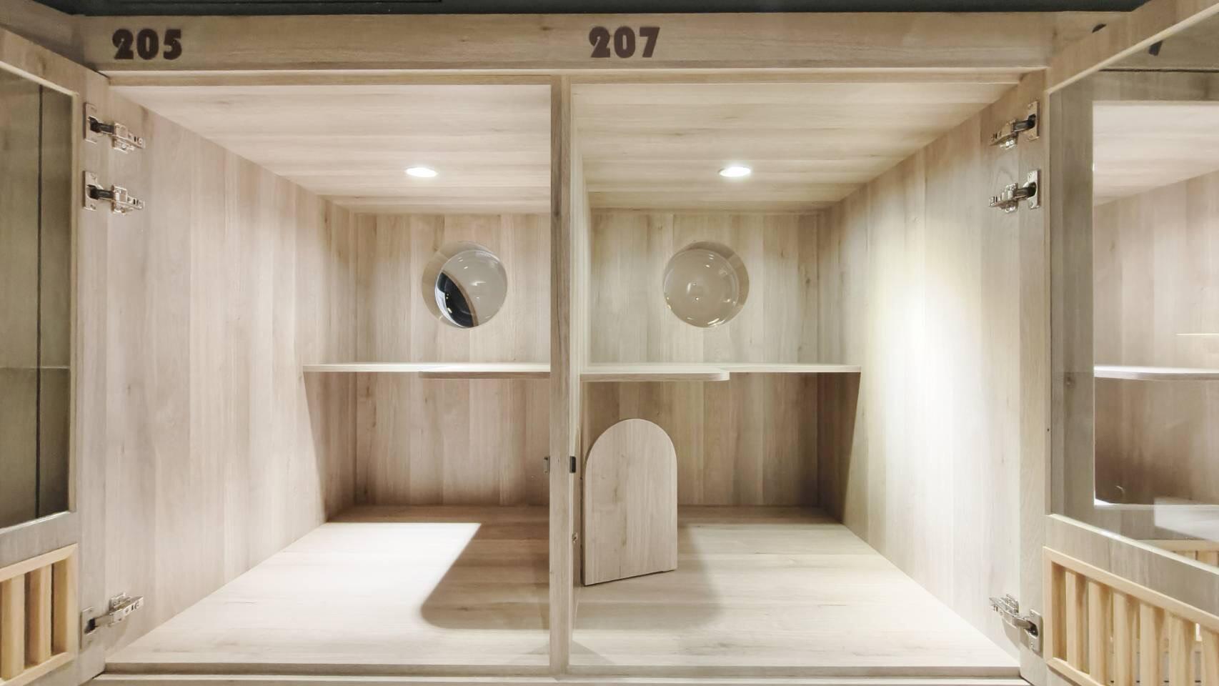 貓咪住宿環境介紹