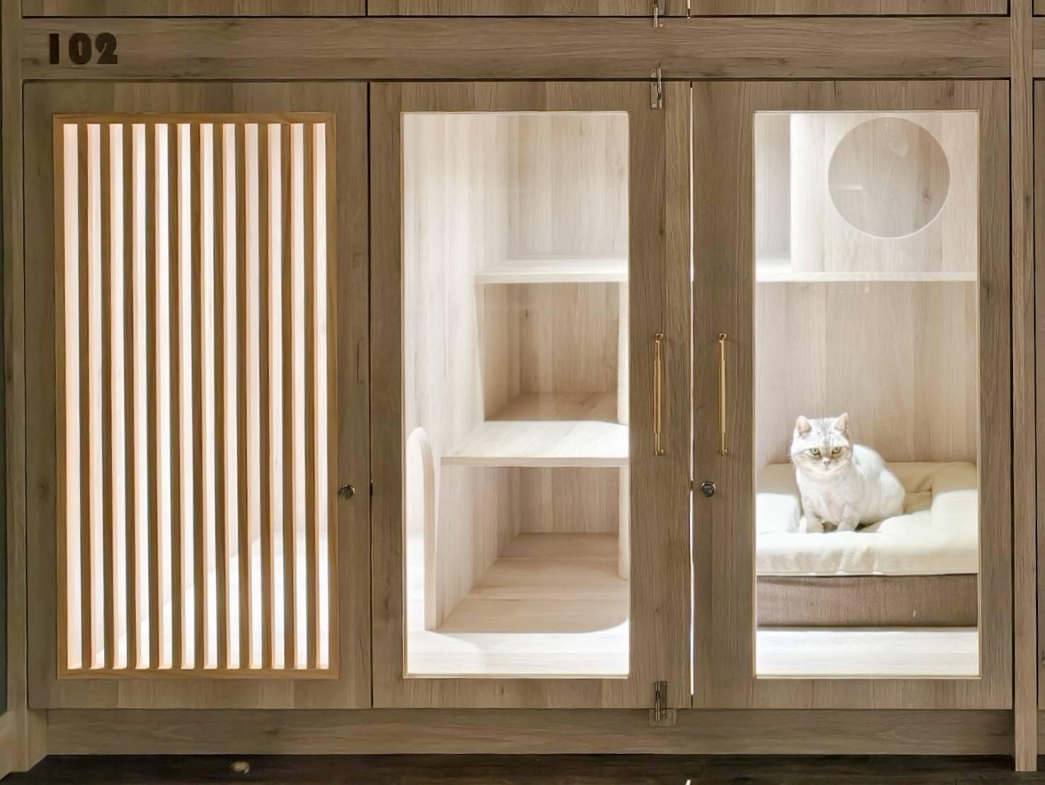 雙房系列 | 貓咪寵物旅館房型